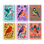 Coffret de 6 peintures par numéro “Piou-piou"