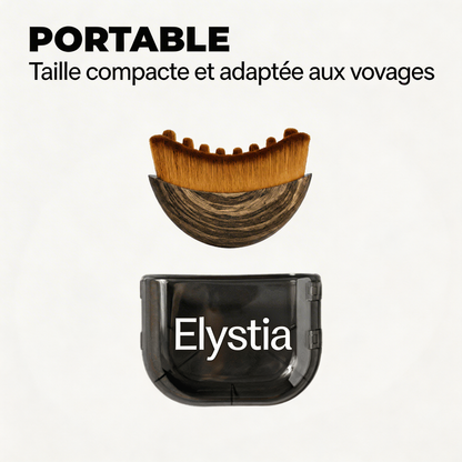 La Brosse Lymphatique